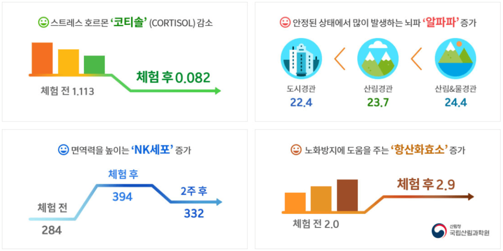산림치유 효과