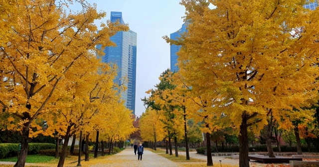 산림관광지