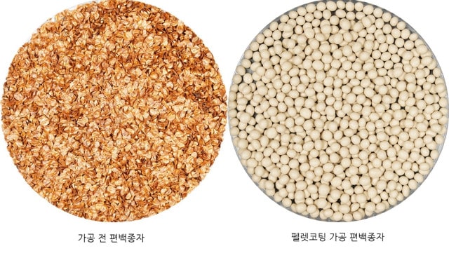 산림종자 펠렛코팅