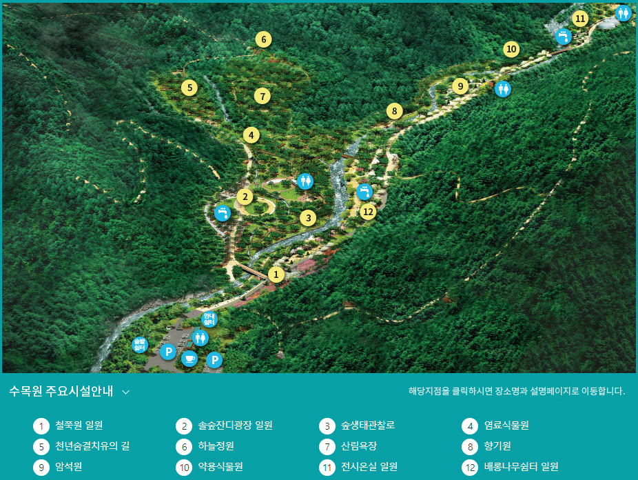 산림 관광지 추천